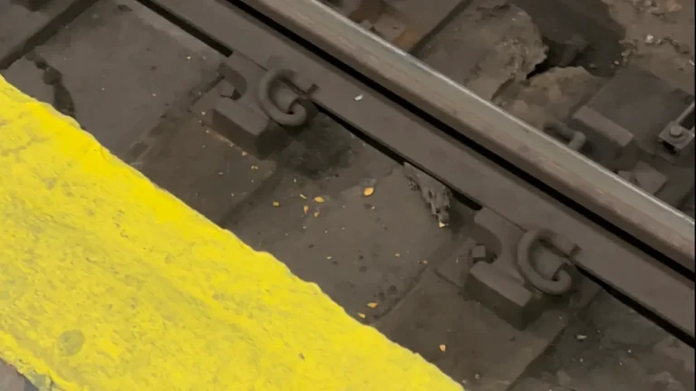 64EB56DF-F40C-4468-8DD2-0668D32436B0