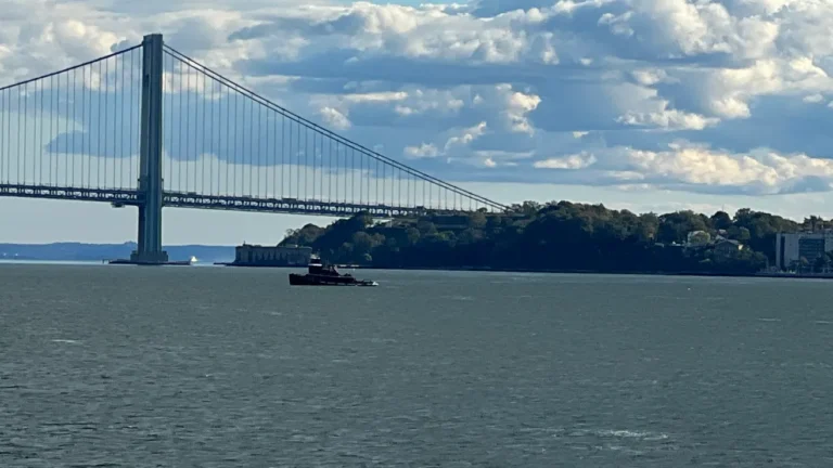 AE800A74-B3FE-4B60-9913-EBD4D2FB36D6