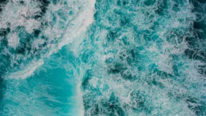 nuevo-oceano