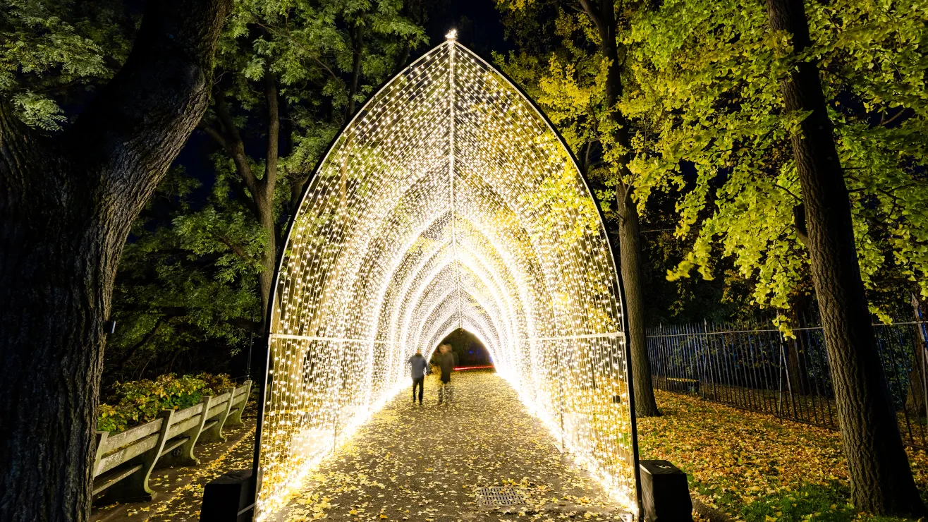 17.-BBG-Lightscape-2023-Winter-Cathedral-Mandylights