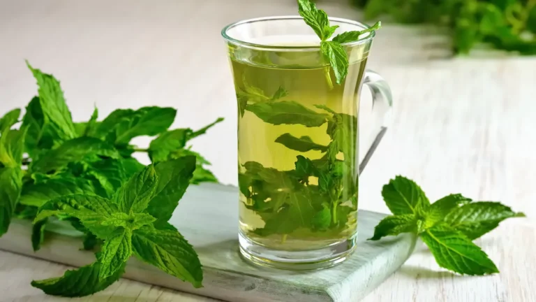 shutterstock_194633378