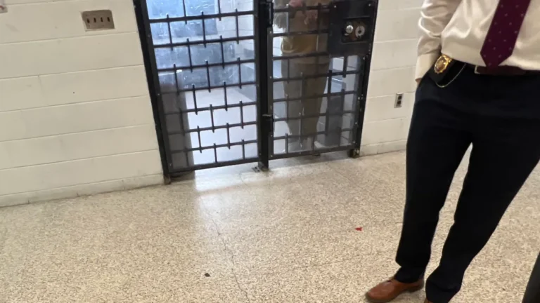 C592813E-6A50-456B-8137-5902DAA030D0-1