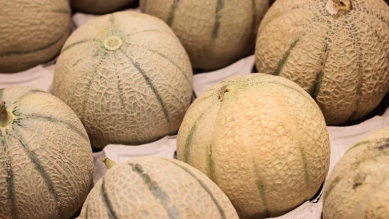 GettyImages-1258356716