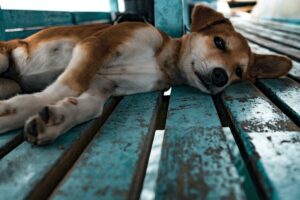 1200_800 (3)