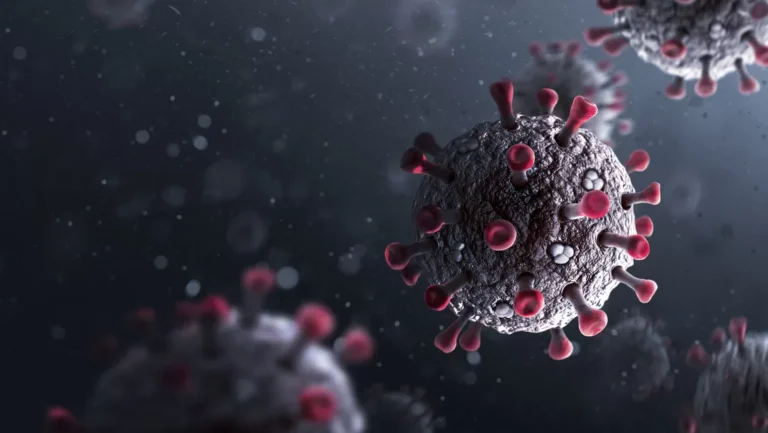 La-OMS-revela-que-significa-el-termino-enfermedad-X-jpeg