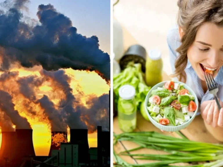 cambio_climatico-alimentacion.png_1902800913