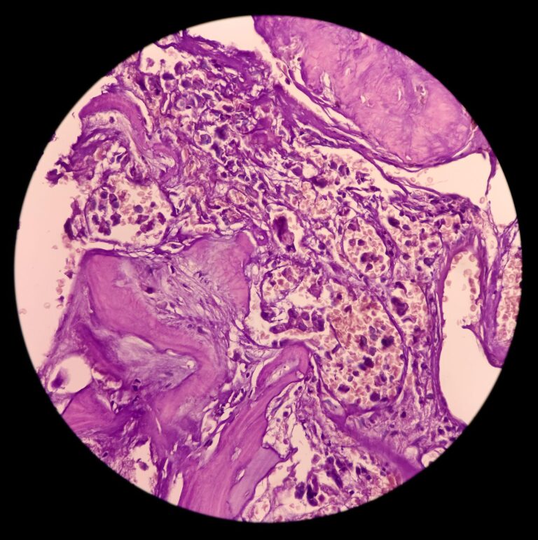 cff756b0-d638-11ee-b83b-0f87a864f372