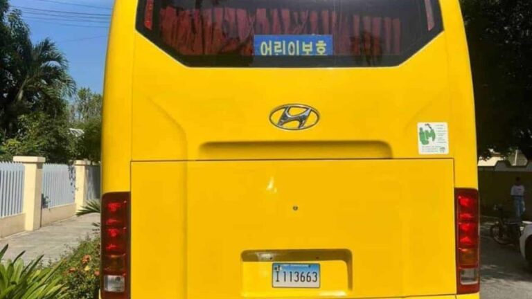 detienen-a-haitianos-indocumentados-en-republica-dominicana-focus-0-0-896-504