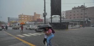 6687d3cbf17f4