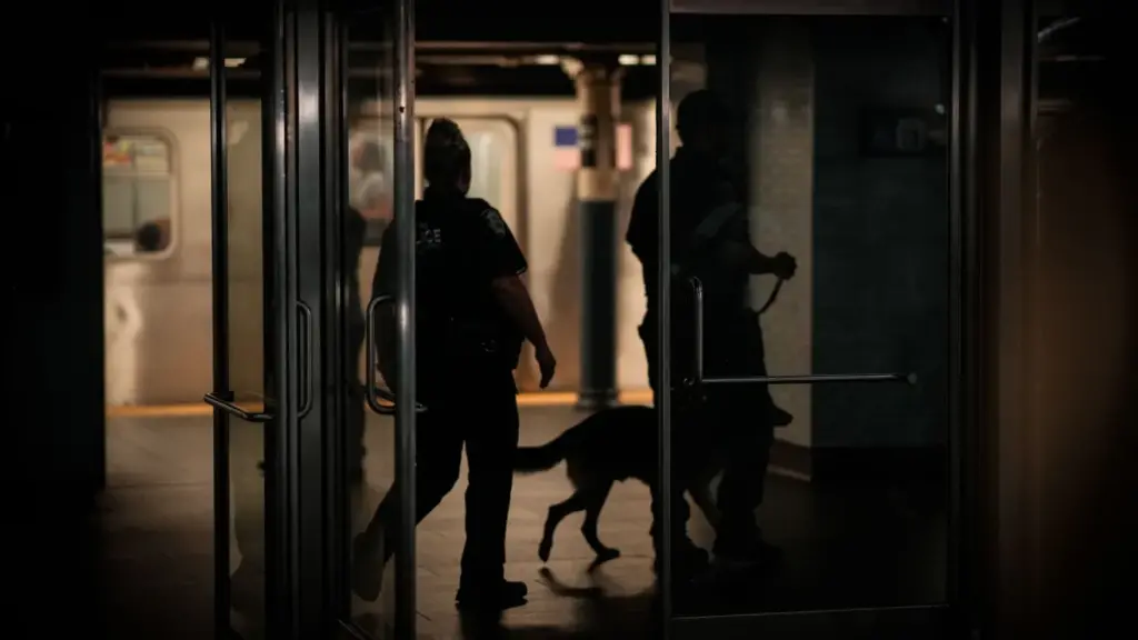 Subway-delitos-NYPD
