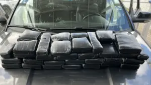 Confiscan-cocaina-en-Texas.jpg
