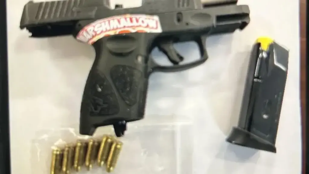 NYPD-High-School
