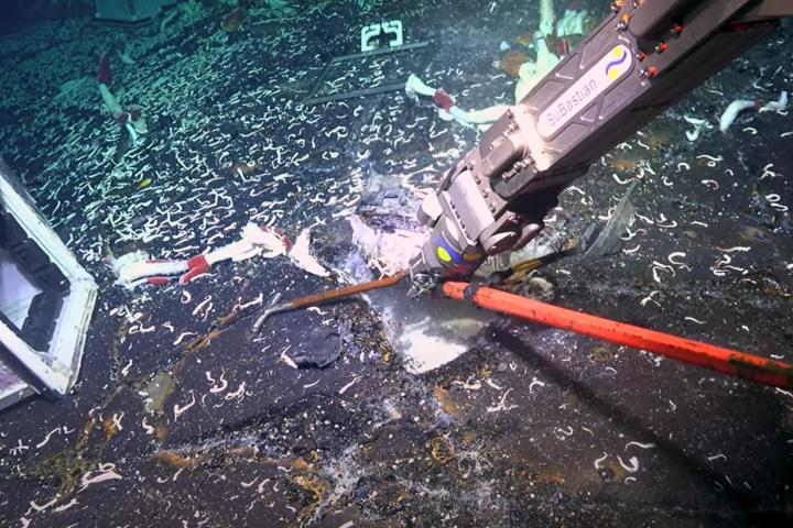 fragmento-del-video-sobre-nuevo-descubrimiento-en-el-fondo-marino