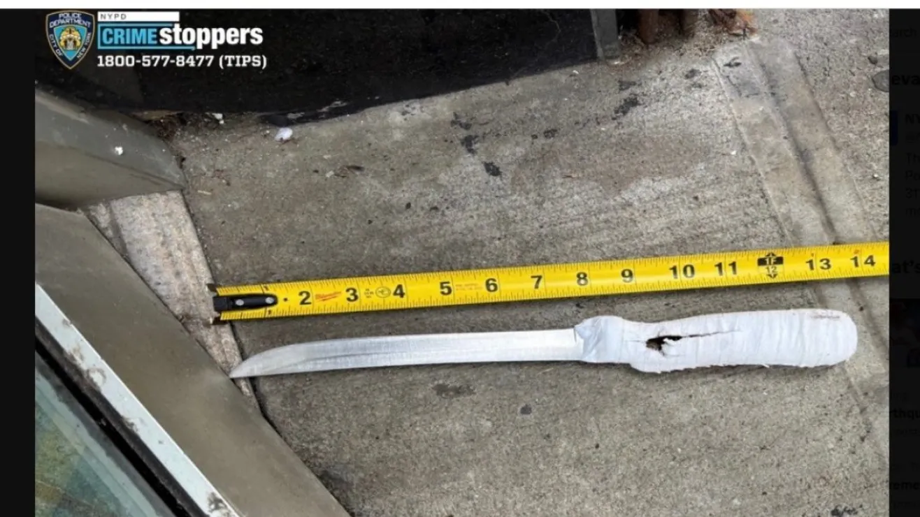 7abq-1-e1744687889917