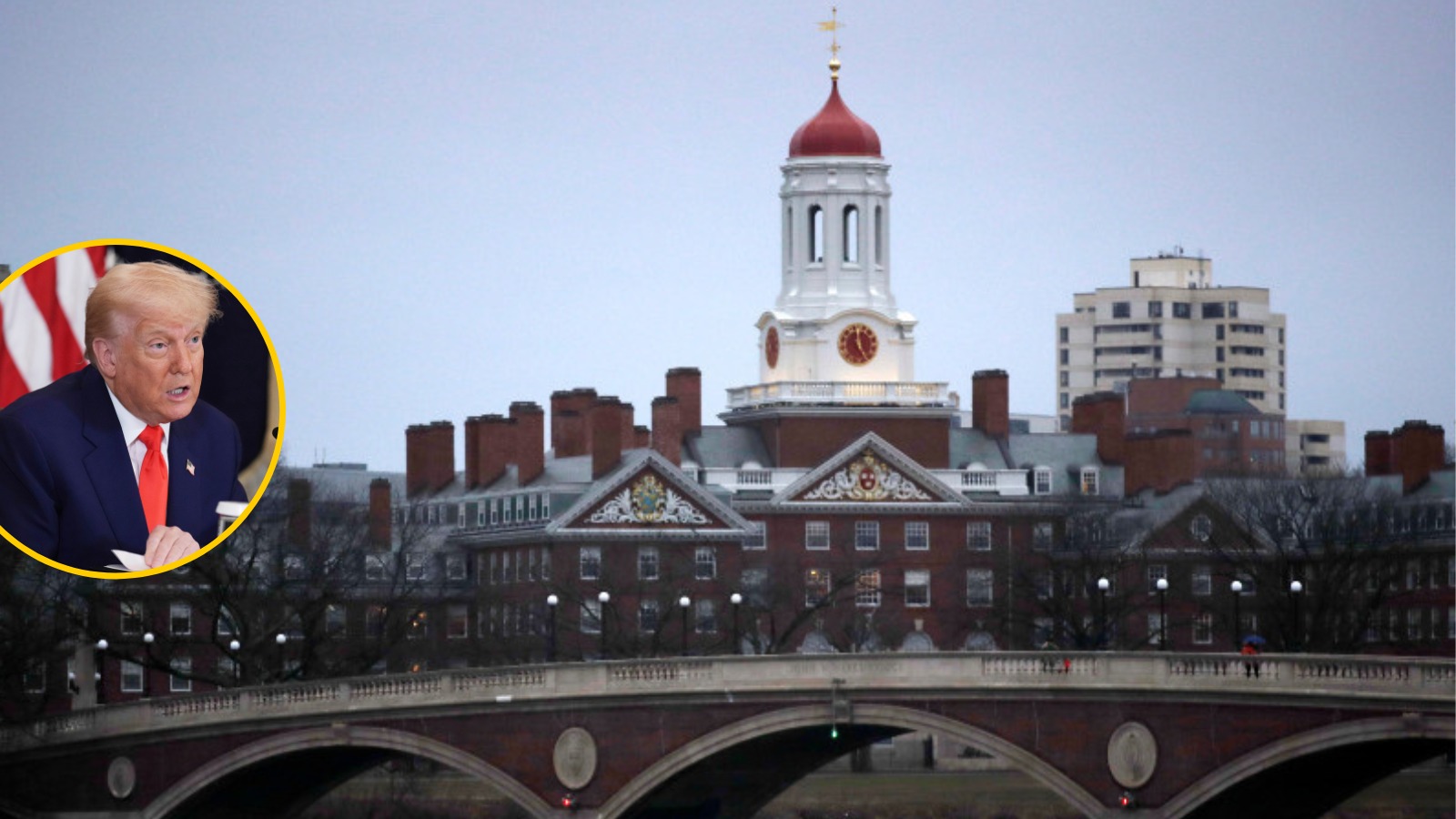 500706202_1165577822279285_5096471919445009558_n