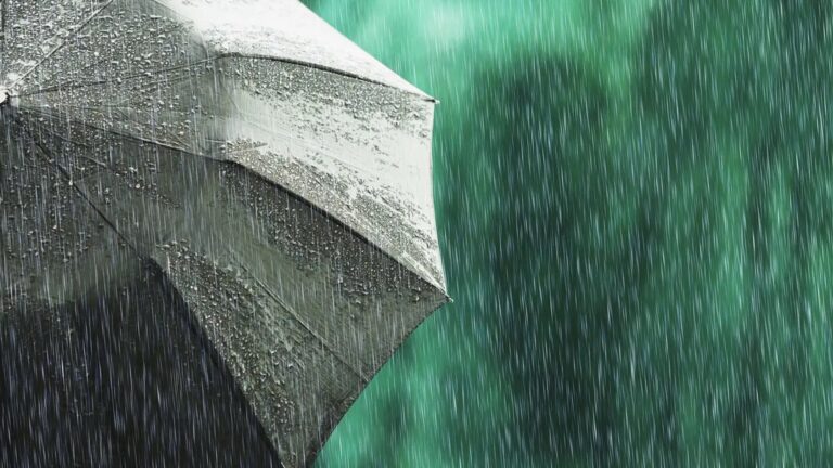 activado-talavera-protocolo-lluvias-fuerte-viento_98