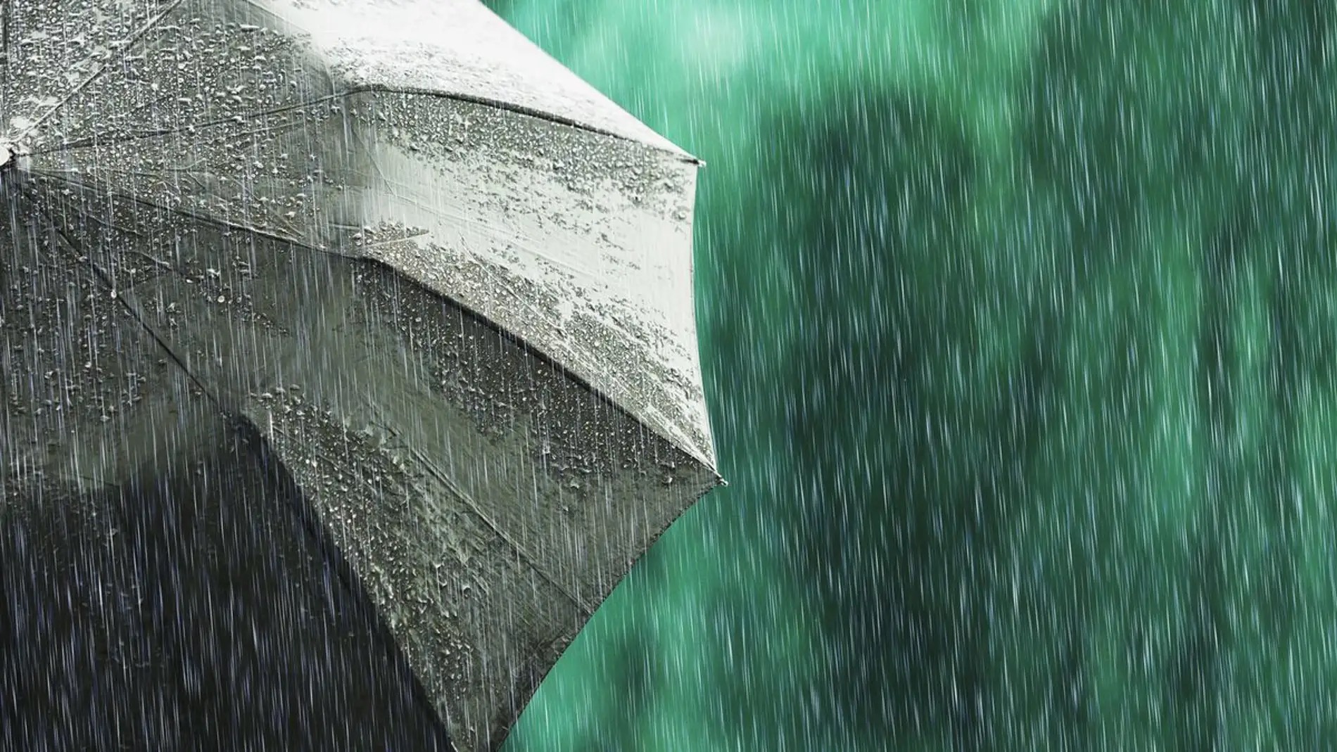 activado-talavera-protocolo-lluvias-fuerte-viento_98