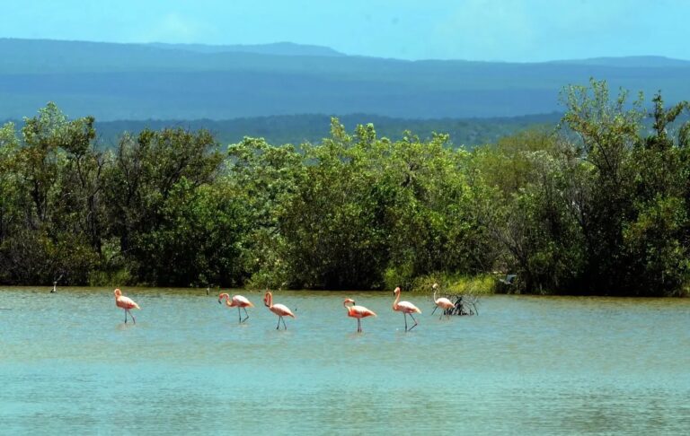 10_Actualidad_06_10p023