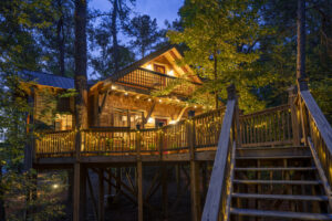 Trinity-Treehouse-1-1-scaled