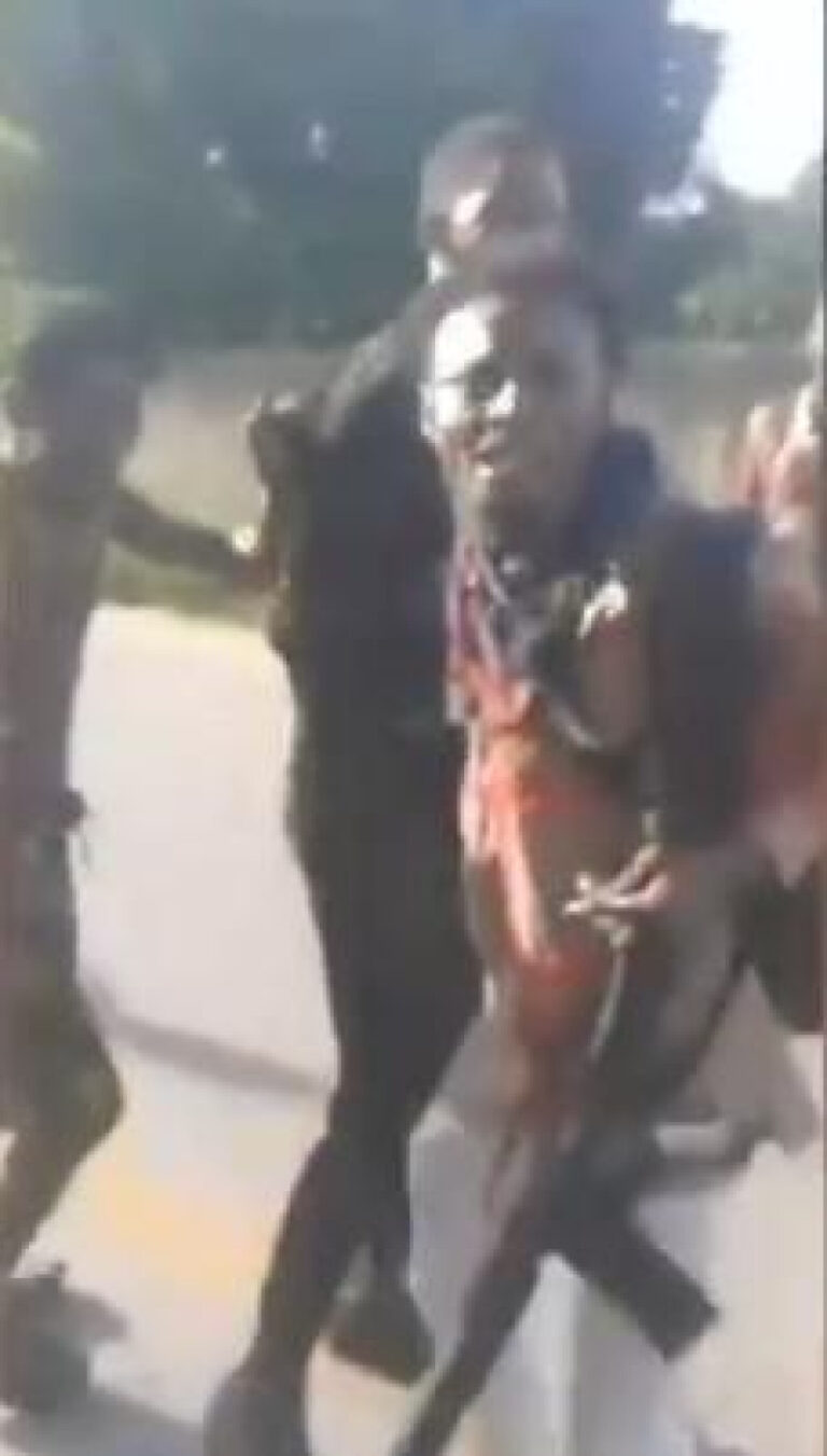 686733e47d6a4.r_d.184-121