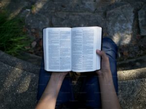 077878ujbiblia
