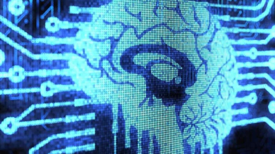 brainet-organic-computer-neuroscience-63173cb3-focus-0-0-896-504