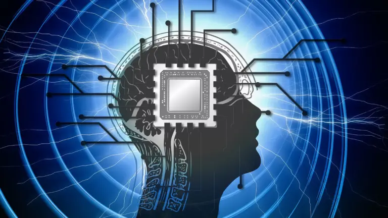 chip-cerebral-4273732