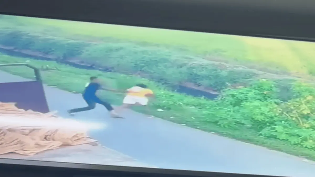 crop-w564-h864-instantanea---29-ac8834aa-focus-min0.31-0.24-1200-675