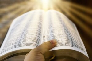 person-reading-book-on-brown-textile-2-scaled.jpg