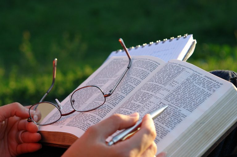 87y898bibli