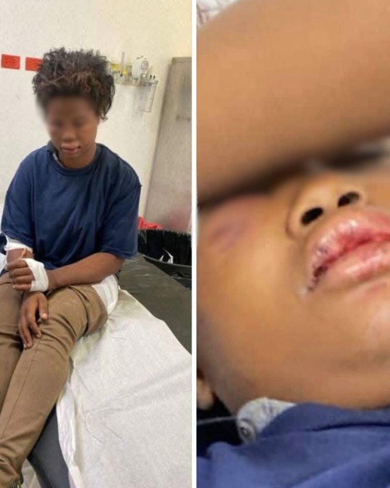 68ee8fbc363b3.r_d.216-529