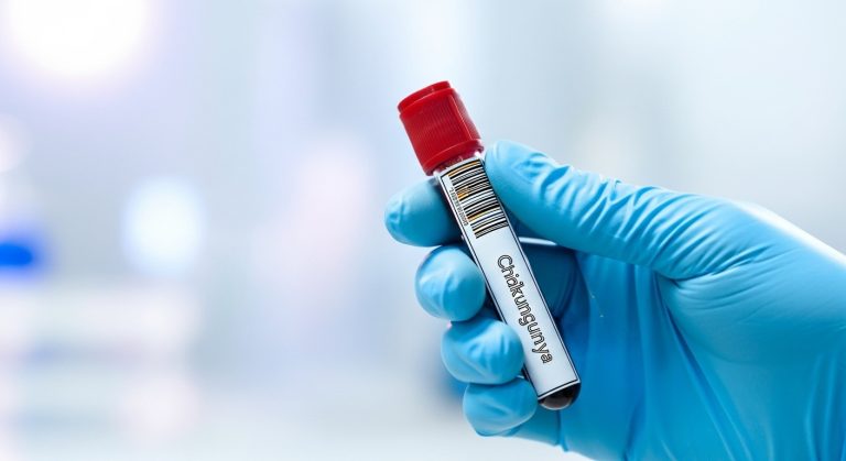 Whisk_7183209b5a9bcbc86fa42f20fd0e14c1dr