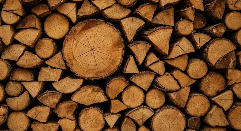 Whisk_aaaa09a990fea97bce5490cd4289c9efdr