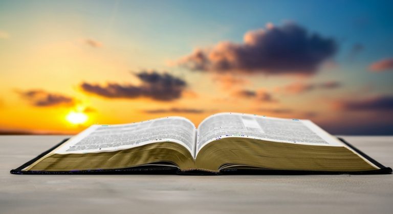 Whisk_e3e17170a0968e0b7b04c6e73e104100dr