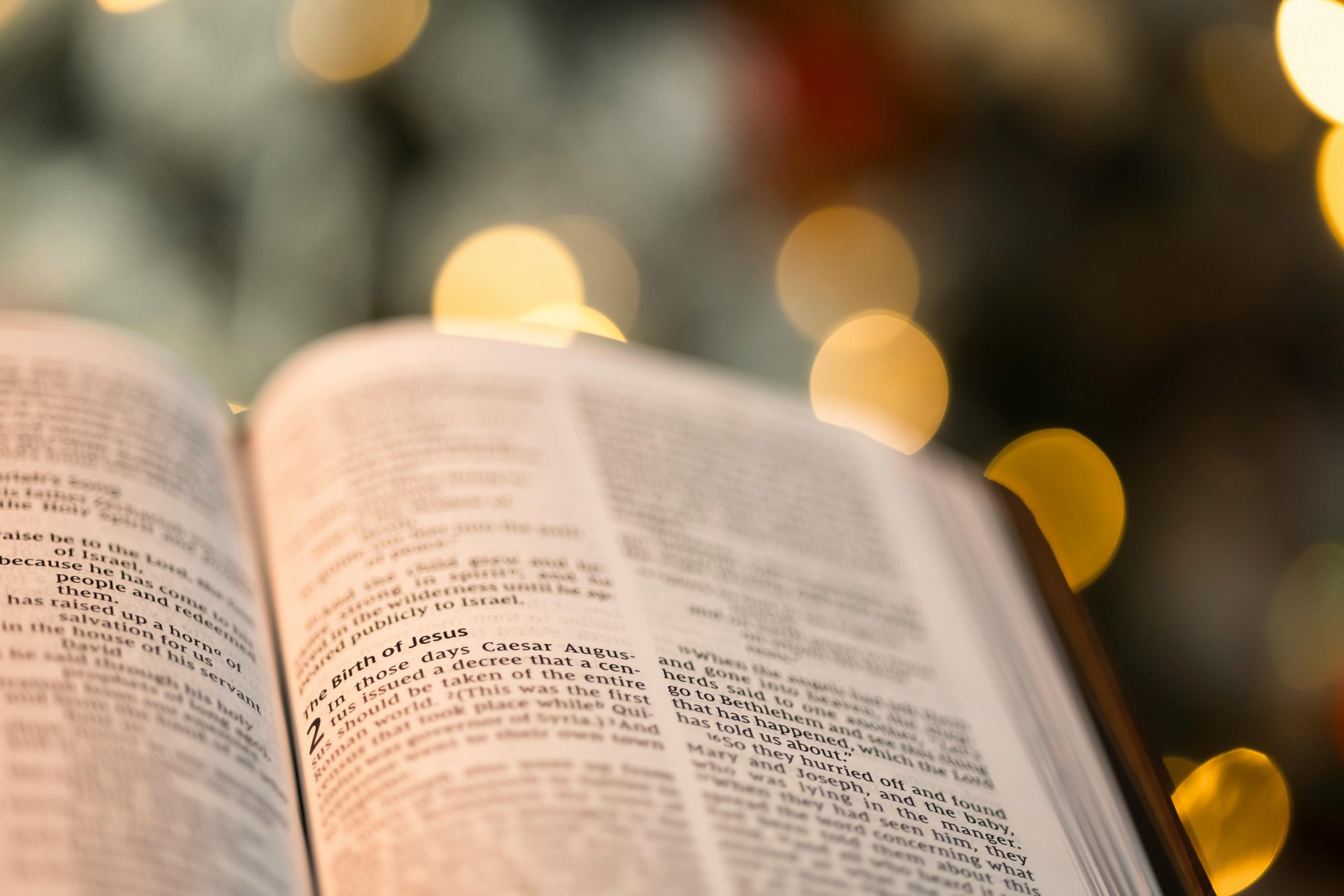 pexels-owen-outdoors-409204690-29756533