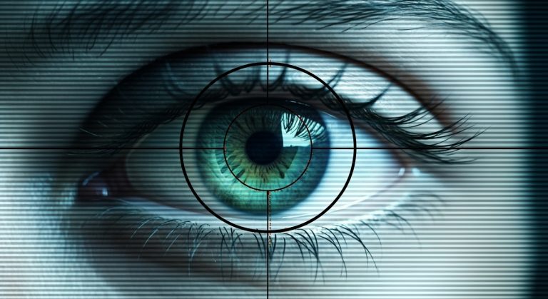 Whisk_309304c5010046fb69d4be6d6262bab3dr