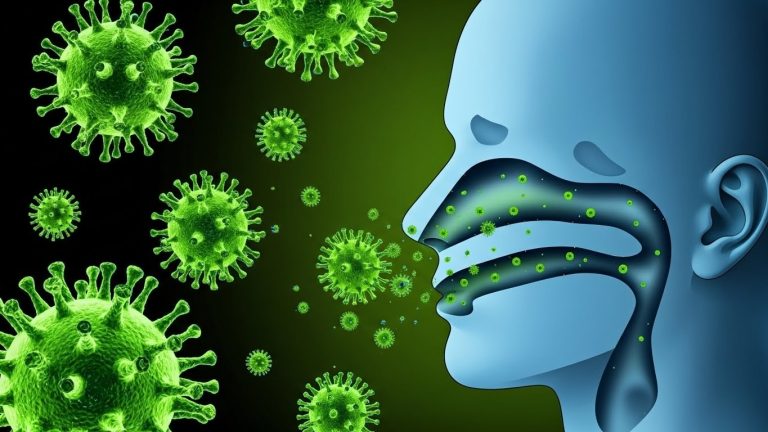 Whisk_3ac26d2efca228493bc4b94f5033f3e8dr