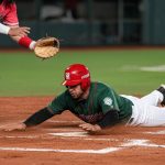 Whisk_450851a970c6e77a0b94eb6152df4d65dr