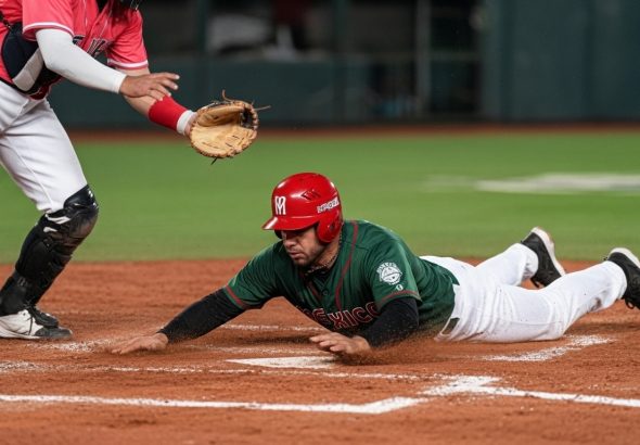 Whisk_450851a970c6e77a0b94eb6152df4d65dr