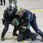 Whisk_5b222ace6f37de9b3214d9c8385607d1dr