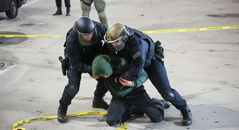 Whisk_5b222ace6f37de9b3214d9c8385607d1dr