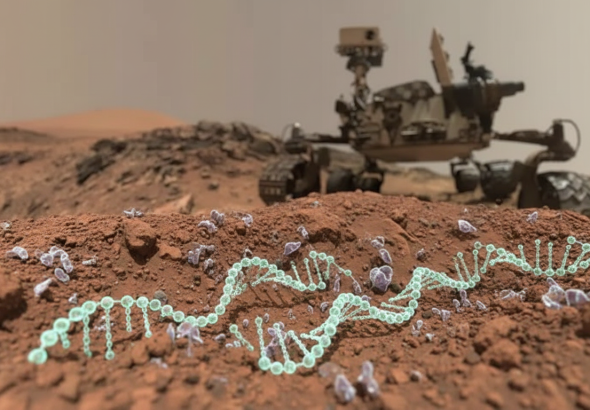 Whisk_33620583cdd82dbb7b24c792c463b9fddr