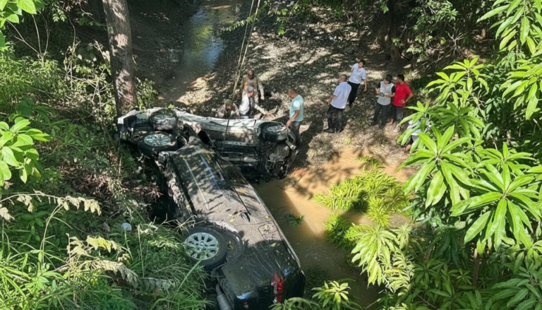 Whisk_e7b275854925175a8bb4955d45a0fd9fdr