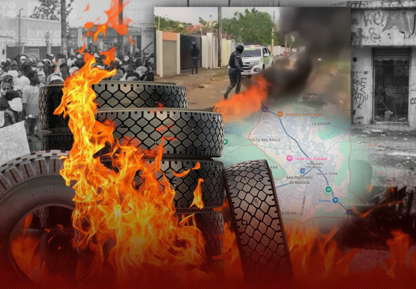 Whisk_fbfeab63ad0db5d8c544c9efe10c8fbceg