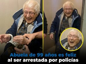 Plantilla Punto Curioso