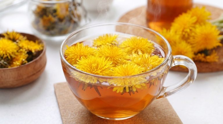 Beneficios-del-diente-de-leon-contra-el-cancer.webp_202608051902