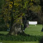 Messi-despide-a-su-padre-junto-a-su-familia-en-una-ceremonia-privada-en-Argentina-850x479