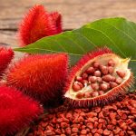 achiote_71288.webp_202608081621