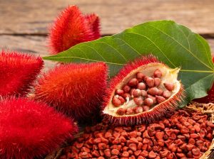 achiote_71288.webp_202608081621