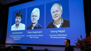 Un psiquiatra de Stanford y dos biófísicos alemanes ganan el Nobel de Medicina 2026 por enseñarnos a controlar el cerebro con luz